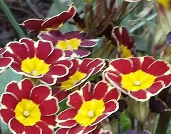 The Wilko Appreciation&nbsp;Society