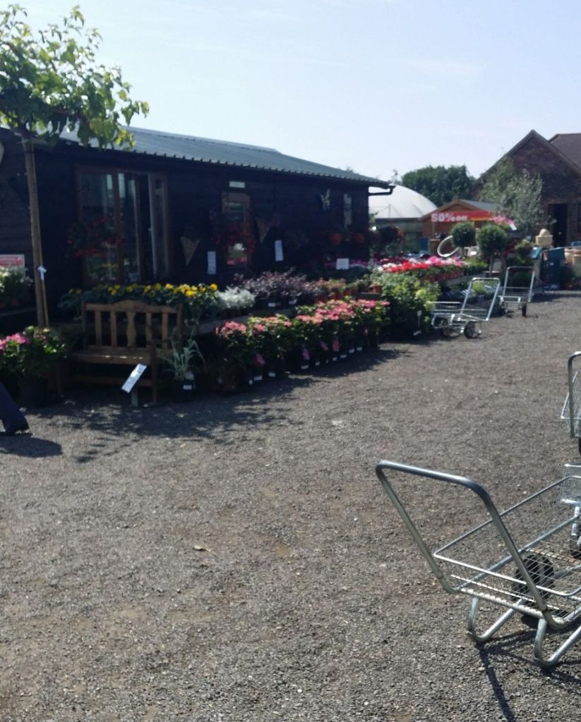 A summers day at the garden centre everything in full colour