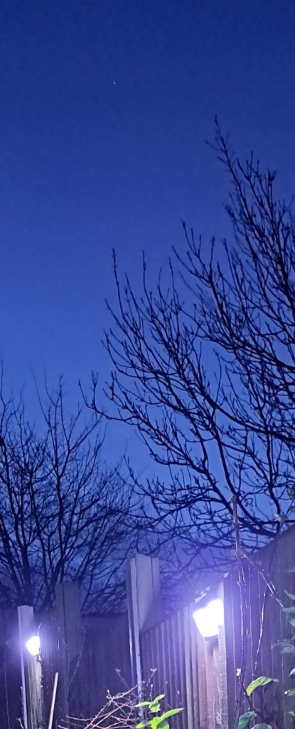 Nightlights in my garden allowing me to work in the garden after dark