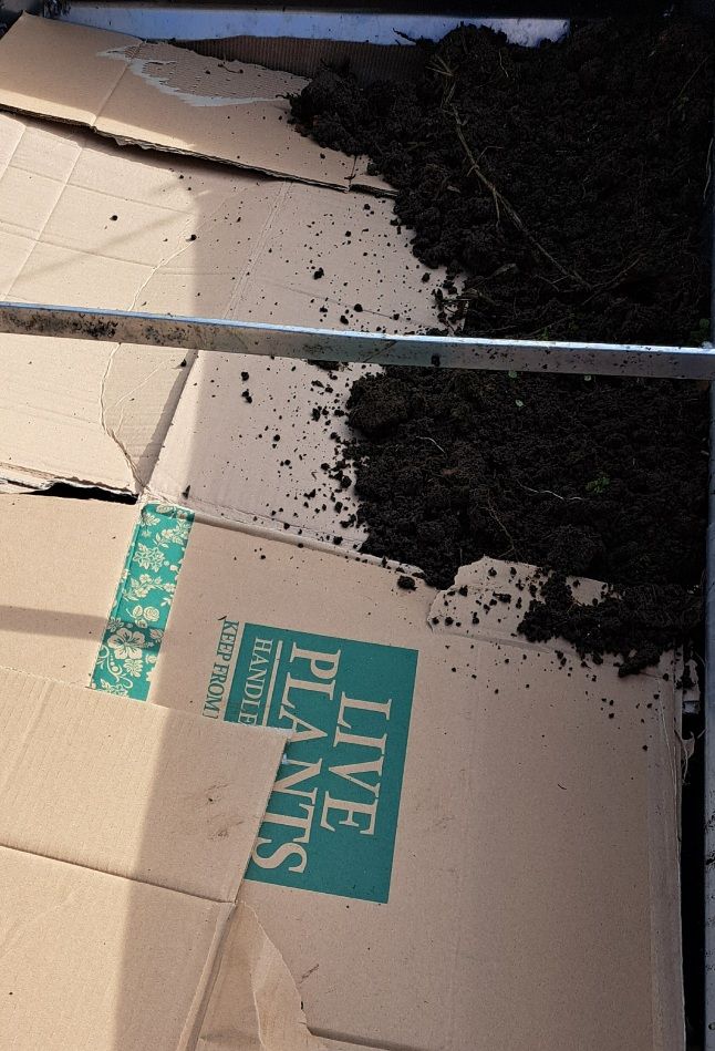 Cardboard over chippings in raised bed