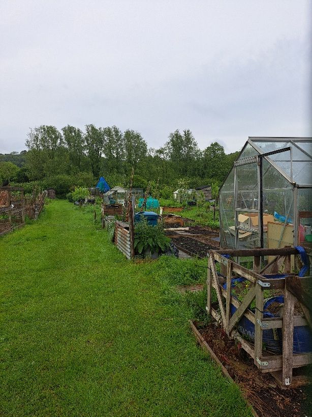 Allotments