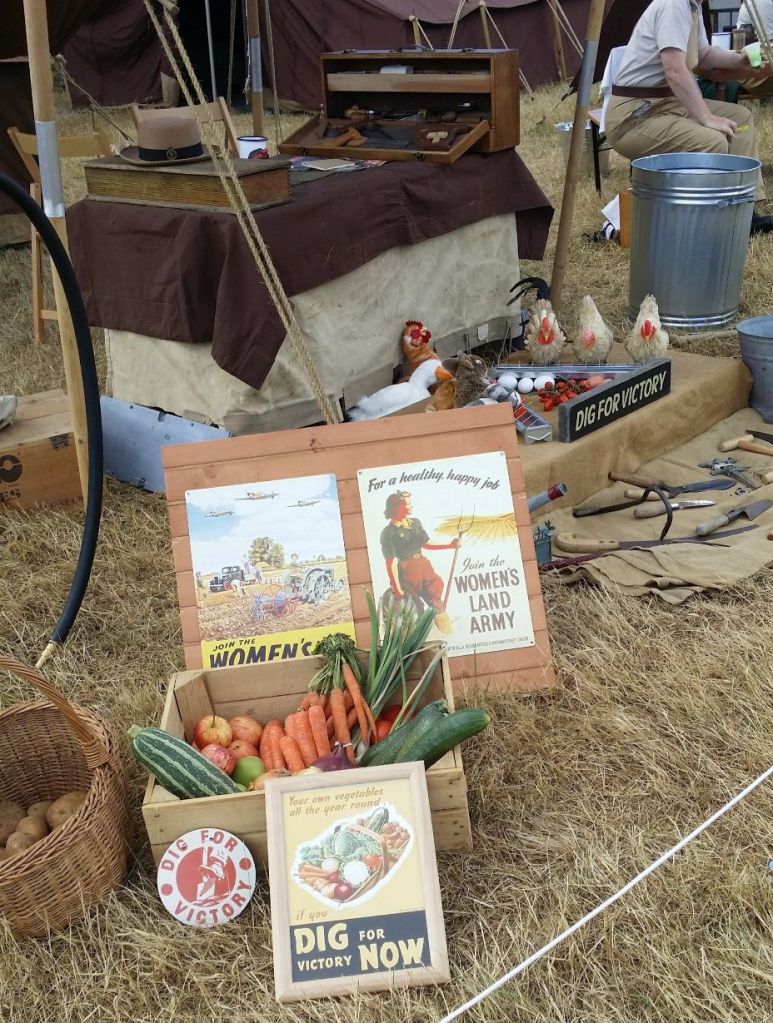 Dig for victory campaign - showing fruit and veg being grown in the 2nd world war