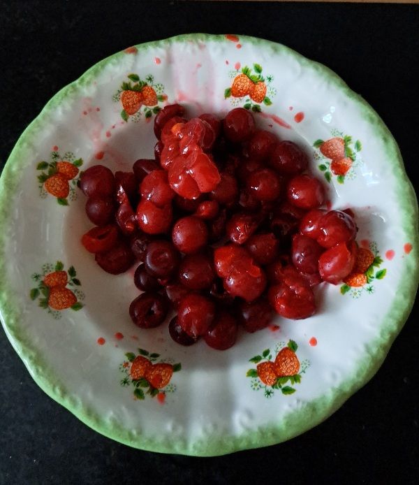 Small bowl of 1st harvest of Morello cherries