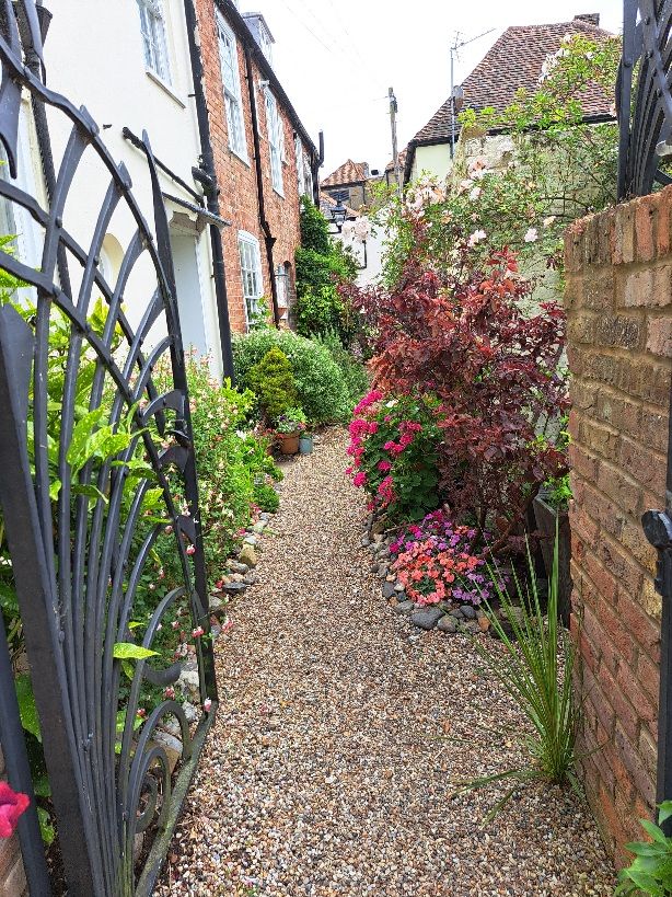 Beautiful entrance to garden. Showing gravel and shrubs. Some hardy annuals and bright bedding
