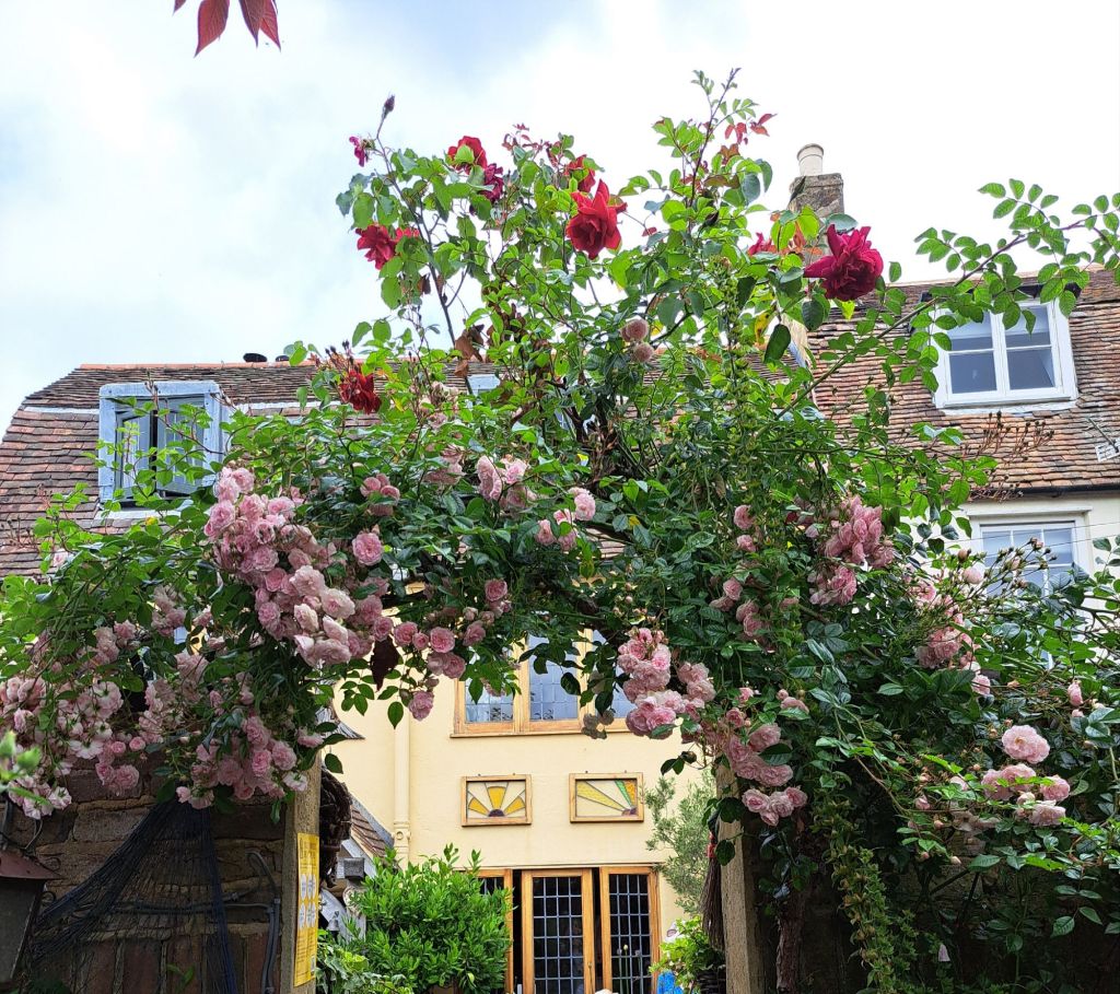 Welcoming roses over the archway